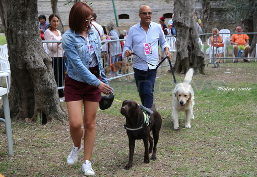 Bordighera: nel giorno di San Francesco sfilano ai Giardini Lowe i cani del Dog Show