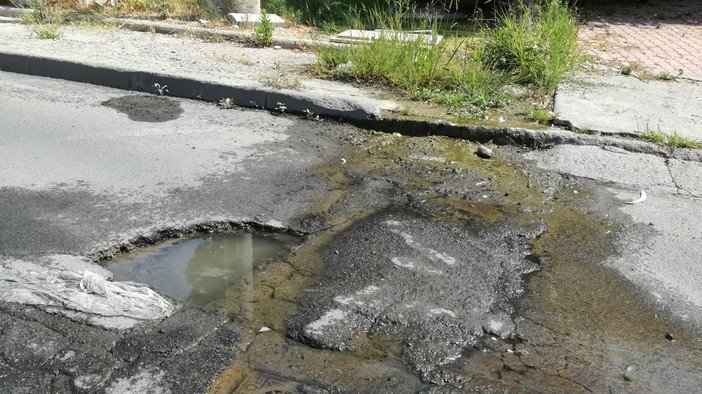 Bussana: continua la perdita d'acqua in via Frantoi Canai, la segnalazione di un nostro lettore (Foto)