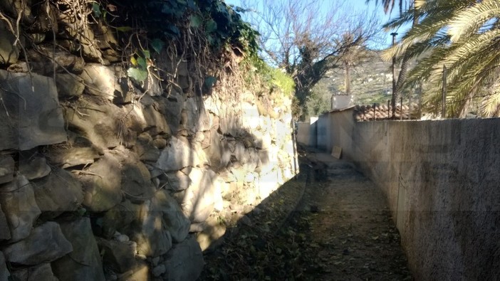 Mercoledì passeggiata serale alla scoperta del palmeto storico di Bordighera, le tradizioni sulle orme di Sant’Ampelio