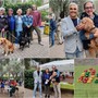 Al via Bordighera Dog Show, cani in passerella ai giardini Lowe (Foto e video)