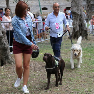 Bordighera: nel giorno di San Francesco sfilano ai Giardini Lowe i cani del Dog Show