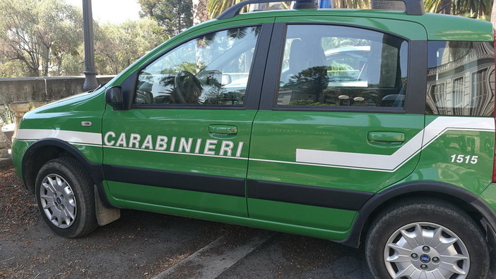 Dopo il passaggio delle competenze sugli incendi ai VVF ecco il bilancio 2017 dei Carabinieri Forestali