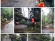 Sanremo: crolla un albero in strada Senatore Marsaglia, riaperta al traffico in località Bevino (Foto)