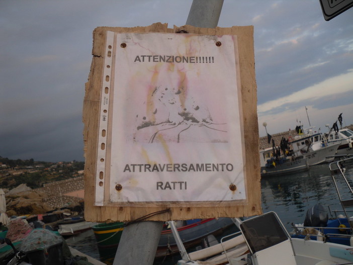 'Visitatori' abituali ma inattesi al porto di Bordighera: cartelli ironici di alcuni pescatori contro la presenza dei ratti