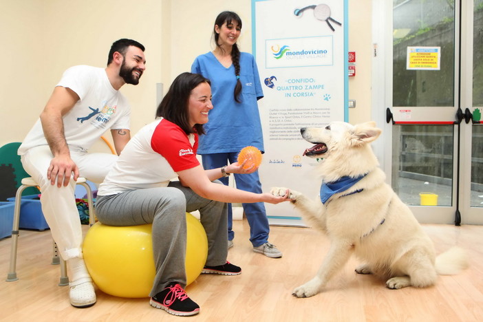 ConFido: Quattro Zampe in corsia, dal progetto pilota ai risultati dopo nove mesi di ricerca