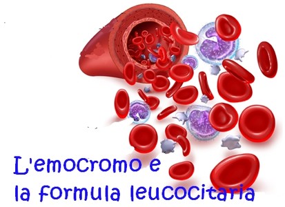 emocromo e la formula leucocitaria per la diagnosi sanremonews it