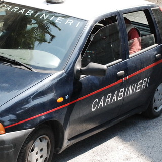 Servizio di controllo coordinato dei Carabinieri della nostra provincia: i risultati