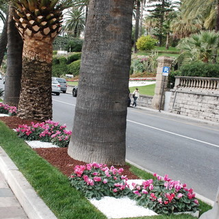 Sanremo: lunedì ripartono regolarmente le manutenzioni dei giardini, accordo totale Amministrazione-Sindacati