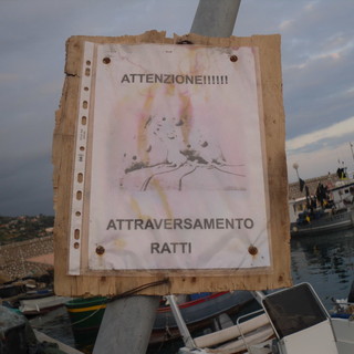 'Visitatori' abituali ma inattesi al porto di Bordighera: cartelli ironici di alcuni pescatori contro la presenza dei ratti