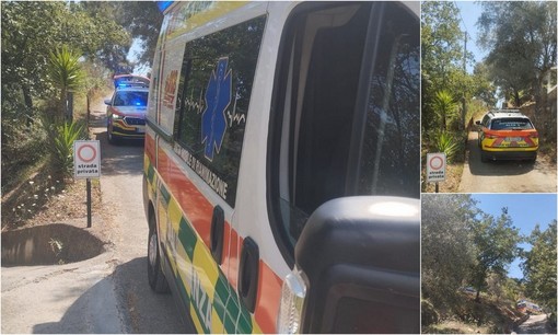 Viene punto da un calabrone: mobilitazione di soccorsi a Dolceacqua (Foto)