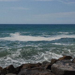 Strane chiazze sul mare lungo tutto il litorale della nostra provincia, è la fioritura della Posidonia