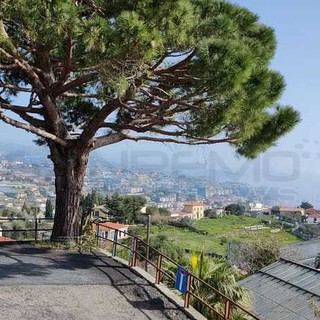 La nebbia invade Sanremo e Arma di Taggia: il 'Caligo' sulla costa della riviera dei fiori (Fotogallery)