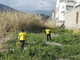 Imperia: segnalazione di bocconi avvelenati al Parco Urbano, controllo degli osservatori ambientali (Foto)