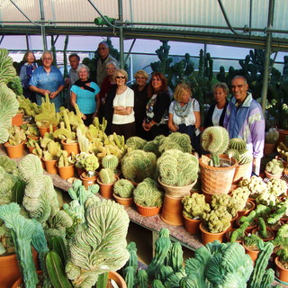 Ventimiglia: domenica prossima l'appuntamento organizzato da 'Pro Centro Storico' con 'Cactusmania'