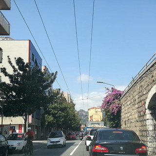 Ventimiglia: proseguono in tutto corso Genova i lavori di potatura della bouganville