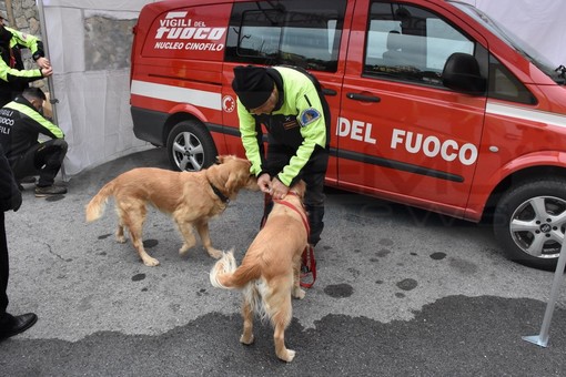 L'unità cinofila dei Vigili del Fuoco di Imperia a Genova per un muro crollato: per fortuna sotto non c'era nessuno