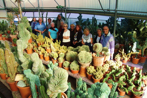 Ventimiglia: domenica prossima l'appuntamento organizzato da 'Pro Centro Storico' con 'Cactusmania'