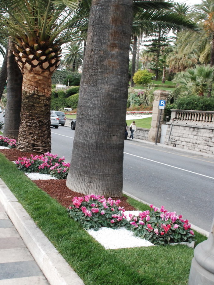 Sanremo: lunedì ripartono regolarmente le manutenzioni dei giardini, accordo totale Amministrazione-Sindacati