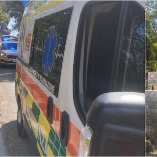 Viene punto da un calabrone: mobilitazione di soccorsi a Dolceacqua (Foto)