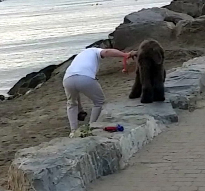 Diano Marina: hanno preso il via in questi giorni i controlli della Polizia Locale sui proprietari dei cani (Foto)