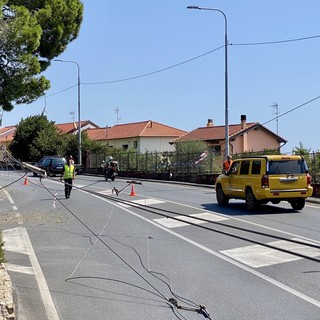 Bordighera: modifiche alla viabilità per rimozione della linea filoviaria di Riviera Trasporti