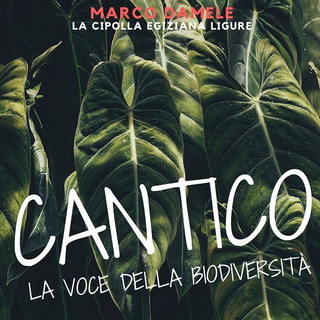 Domenica 4 novembre alle 15:30 l'appuntamento con 'Cantico - La voce della biodiversità'