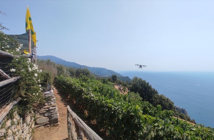 Tra Liguria e Piemonte: gemellaggio Langhe-Cinque Terre per svolta green coi droni