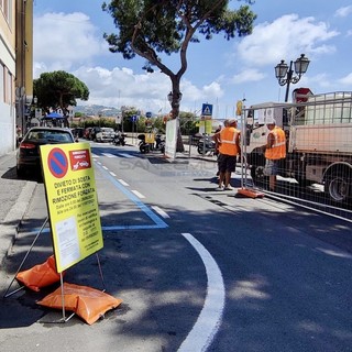 Sanremo: per la realizzazione di interventi fognari taglio di un pino in via Nino Bixio, i lavori lunedì