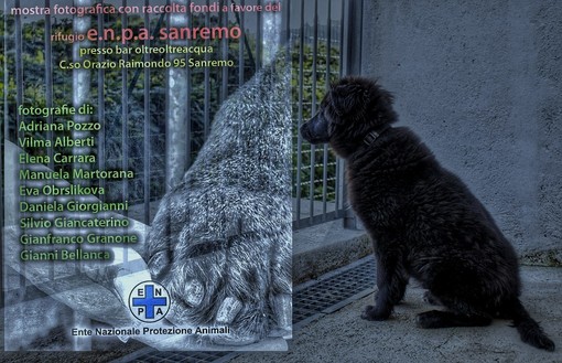 Sanremo: aperitivo E.N.P.A. per il finissage della mostra benefica a favore del canile