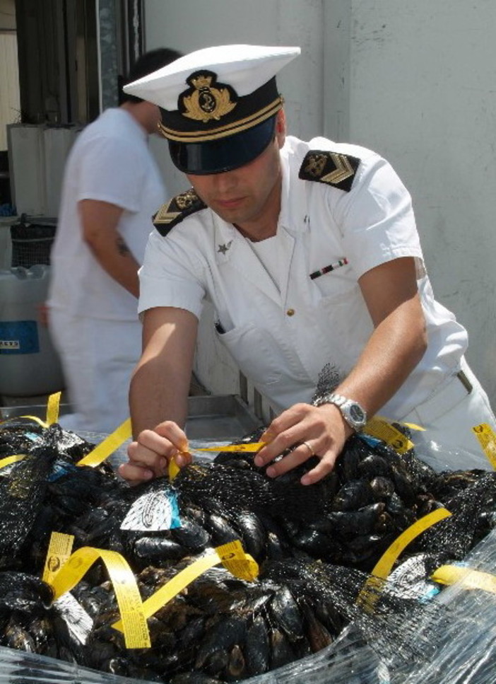 Operazione ‘Mekong’: su filiera commerciale e su vigilanza pesca, ‘blitz’ a dicembre della Guardia Costiera