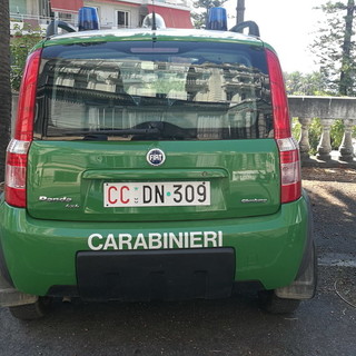 Il Comandante dei Carabinieri Forestali oggi a Genova per il convegno sulla prevenzione degli incendi