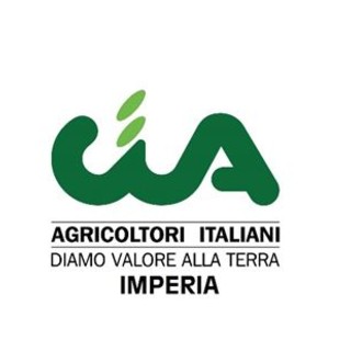 Al via ‘Dal Campo alla Tavola’ primo e-commerce degli agricoltori. Con il sostegno di J.P. Morgan