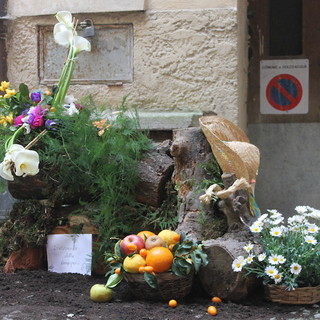 Dolceacqua: al via domani l’attesissima edizione di ‘Carugi in fiore 2023’, sul gemellaggio tra Monaco e Dolceacqua