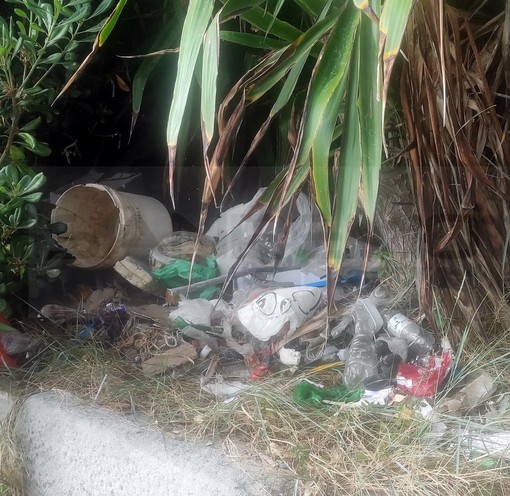 Bordighera: degrado e rifiuti tra la vegetazione in Arziglia, la denuncia del Consigliere Ramoino (Foto)