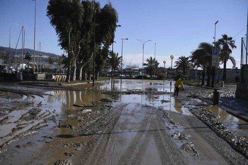 Le immagini dalla Darsena (foto Tonino Bonomo)