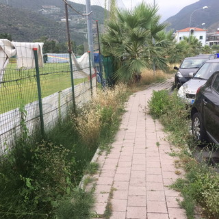 Taggia: degrado e incuria a Borgo San Martino, ordinanza del Sindaco alla proprietà degli immobili