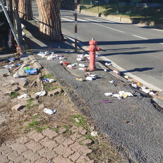 Sanremo: sacchetti dell'immondizia gettati fuori dai cassonetti, i gabbiani banchettano e formano una discarica (Foto)