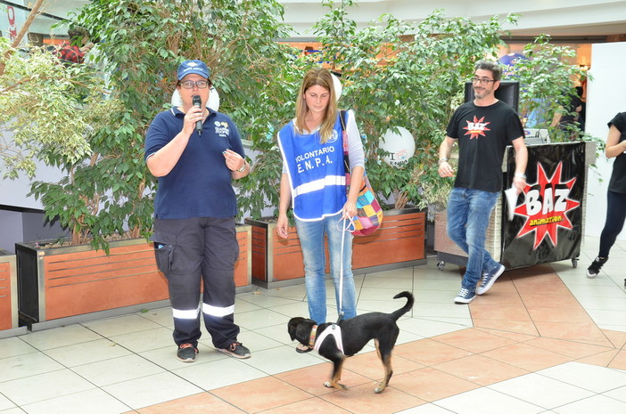 Arma di Taggia: grande successo per i due giorni dell'Enpa dedicati alle adozioni (Foto e Video)