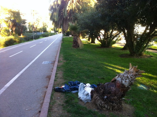 Sanremo: situazione di degrado sulla ciclabile, intervento e foto di un nostro lettore