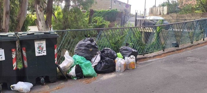 Sanremo: abbandono dei rifiuti in strada Borgo Opaco, la segnalazione di una lettrice (Foto)