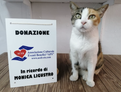 Ventimiglia: Aceb dona al gattile la somma raccolta in memoria di Monica Ligustro (Video)