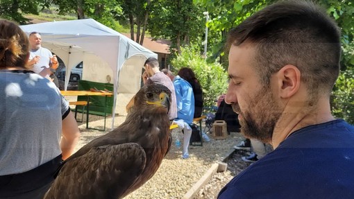 Successo di partecipanti oggi a Triora per la didattica di falconeria con 'Terra di Confine' (Foto)