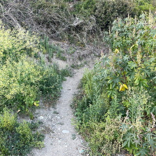 Imperia: degrado e criticità in zona Collarina, Imperia Rinasce &quot;Il mare erode la pista ciclabile &quot; (Foto)