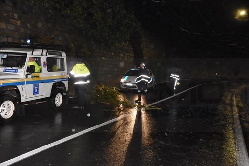 Cipressa: vento forte e danni sulle strade, il Sindaco tiene le scuole chiuse per la giornata di domani