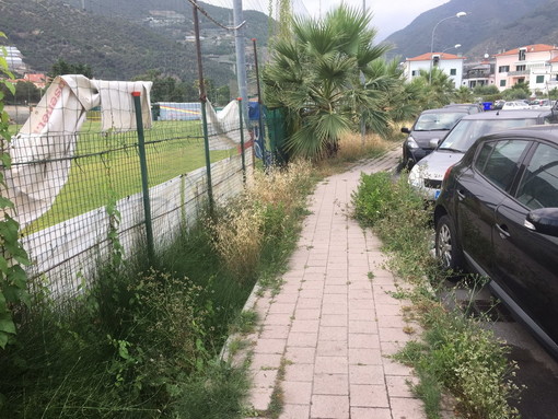 Taggia: degrado e incuria a Borgo San Martino, ordinanza del Sindaco alla proprietà degli immobili