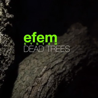 È on-line il nuovo videoclip “Dead trees” l’ultimo singolo della band imperiese Efem System