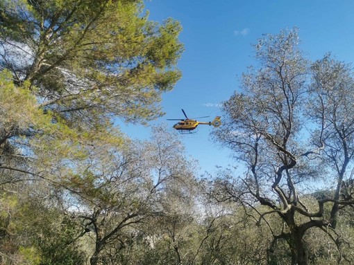 Badalucco: giovane si schianta con lo scooter contro un furgone, trasportato in elicottero al 'Santa Corona'