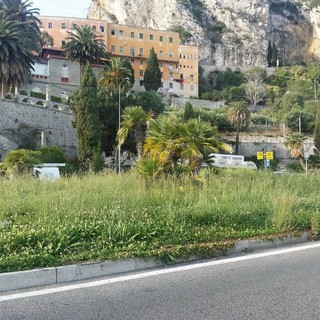 Ecco come l'Italia accoglie i turisti a Ponte San Ludovico... l'aiuola spartitraffico con l'erba alta 50 cm