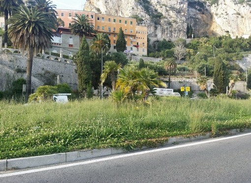 Ecco come l'Italia accoglie i turisti a Ponte San Ludovico... l'aiuola spartitraffico con l'erba alta 50 cm