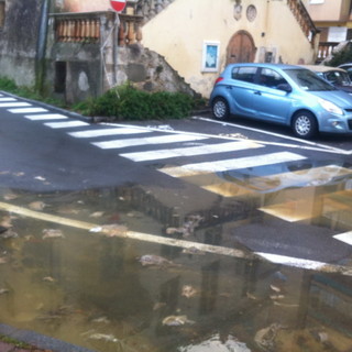 Vallecrosia: situazione insostenibile in via Don Bosco, una commerciante &quot;Ad ogni pioggia siamo... nella cacca!&quot;